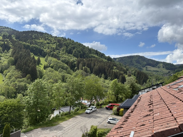  Dachgeschosswohnung Todtnau
