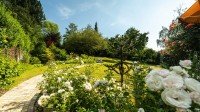 Bild (69a2cf4be3bb96a90fa9505ad0062229): Hotel in Badenweiler