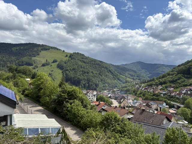  Dachgeschosswohnung Todtnau